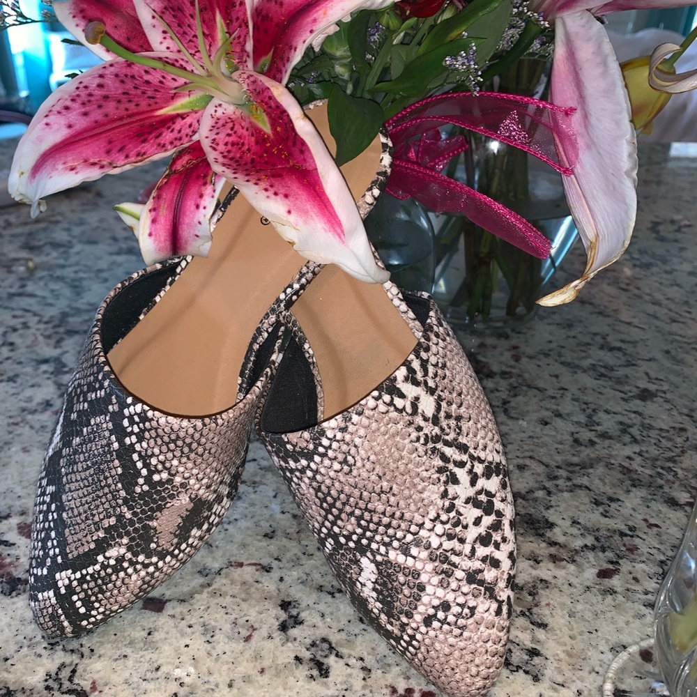 Snake print mules Size 6.5